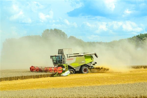 The meaning and symbol of Harvest in dream Online Dream Dictionary