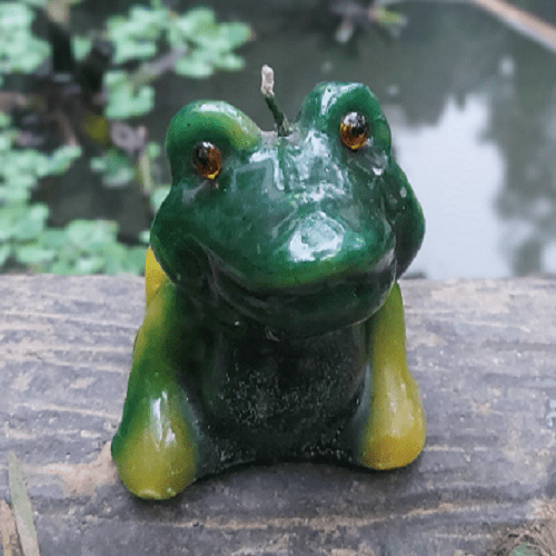 Frog Candle Pitara by Sisosh