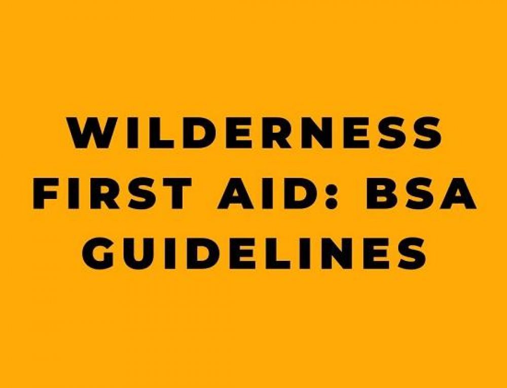 First Aid The History, Principles, and Techniques of First Aid