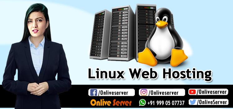 Linux Web Hosting, Cheap Website hosting Company Onlive Server