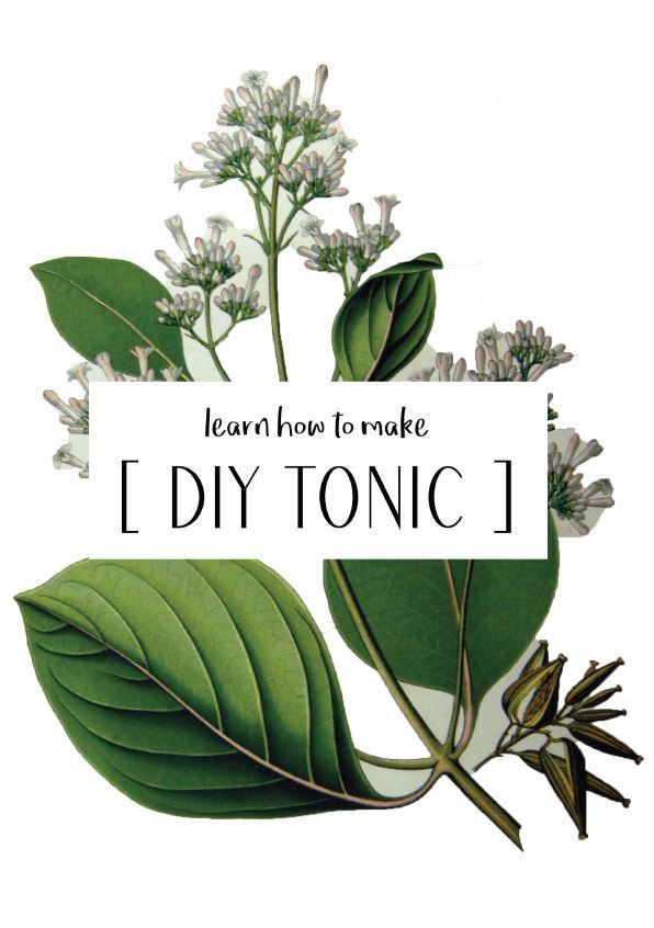 Only Bitters How to Make your own DIY Tonic ebook