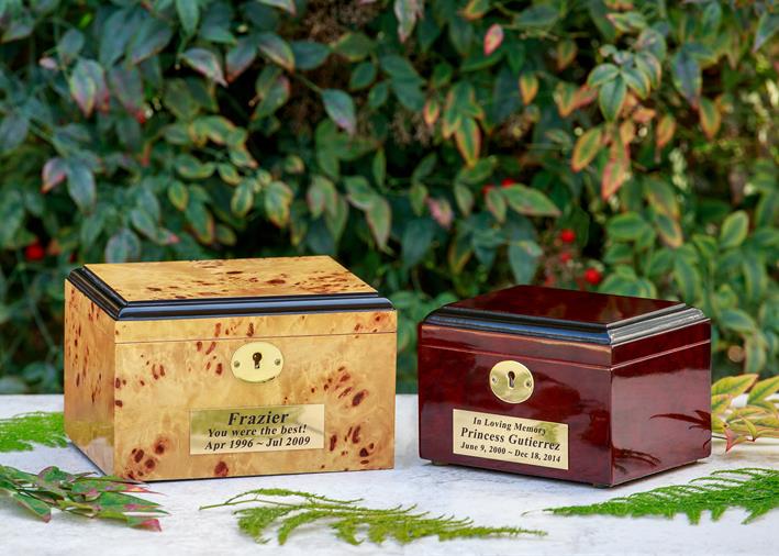 Horse Cremation Services Only Cremations for Pets