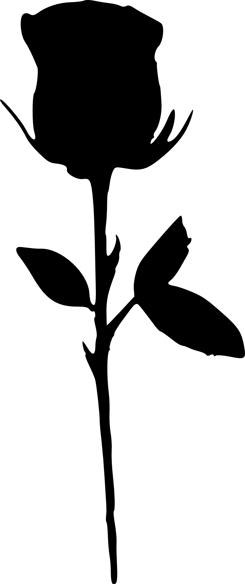17 Rose Silhouette (PNG Transparent)