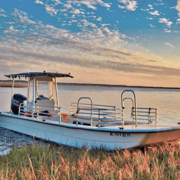 Lady Swan Boat Tours Only In Onslow