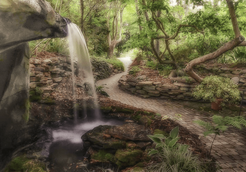 Visit The Beautiful Juniper Level Botanic Garden In Raleigh, North Carolina