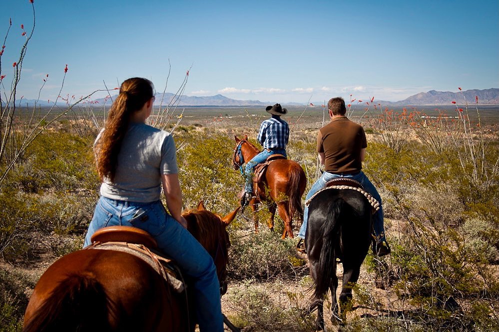 Go Horseback Riding At Tombstone Monument Ranch In Arizona