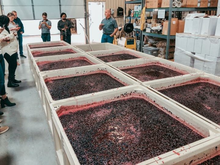 Sleep In A Cozy Cottage On A Vineyard At Landry Vineyards In Louisiana