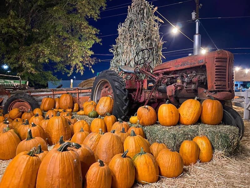 The Utah Pumpkin Patch Where You Can Also Take A Hayride