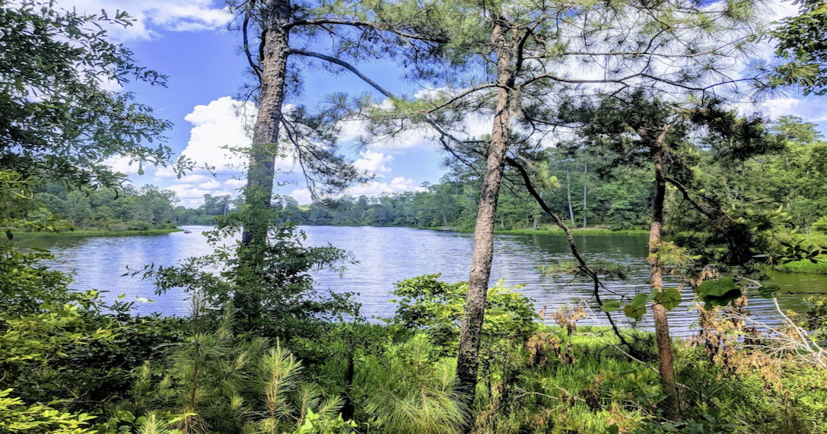 Kincaid Reservoir An Underrated Fishing Lake In Louisiana