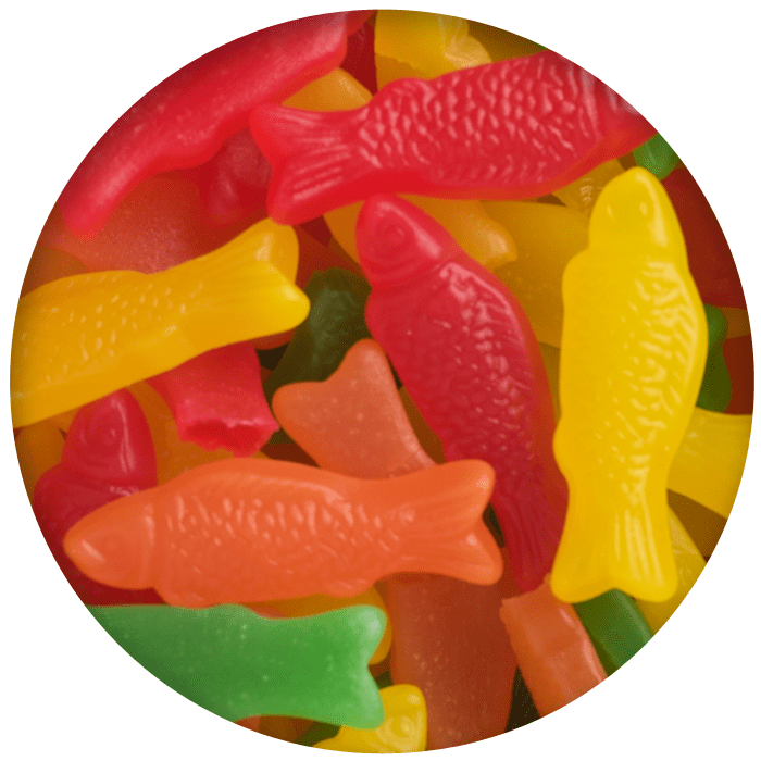 Jelly Belly Fish Only Kosher Candy