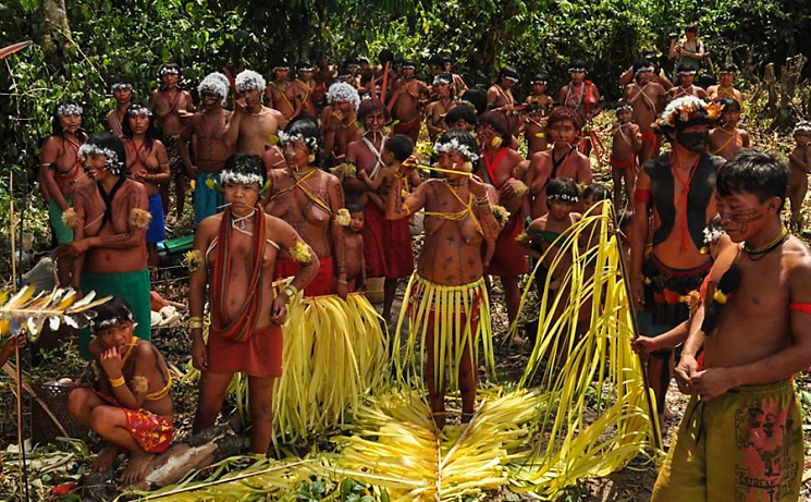 Unseen Worlds A Journey Into The Amazon Rainforest's Hidden Tribes
