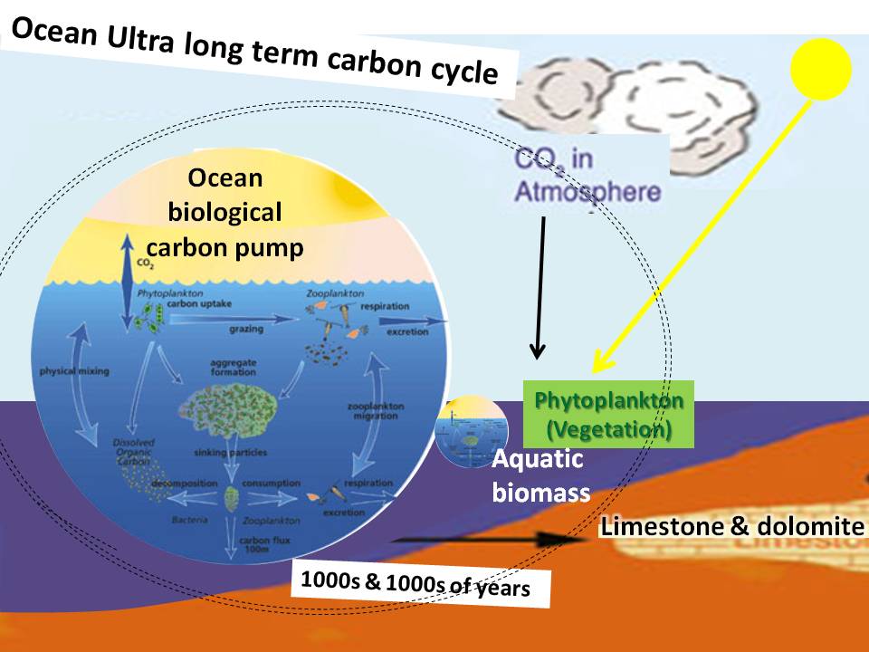 atmospheric carbon dioxide