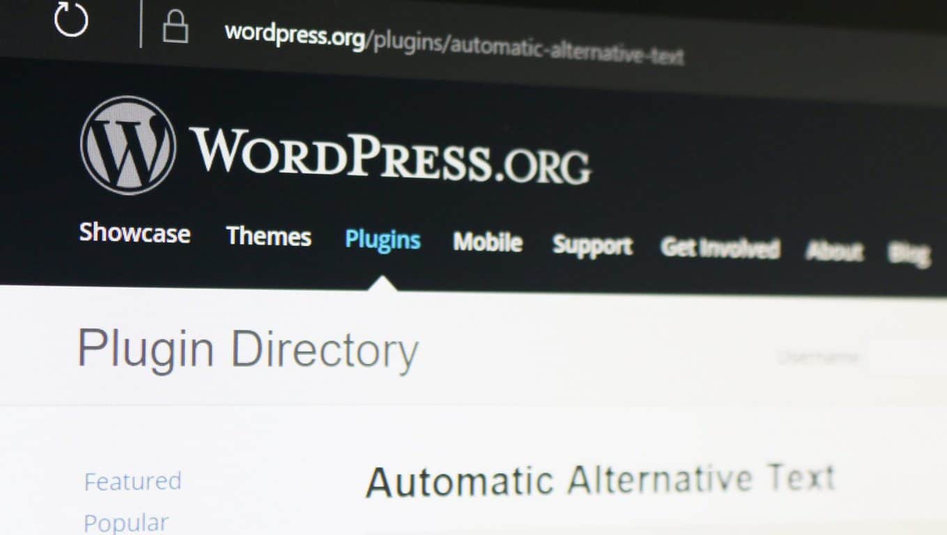 Microsoft's Computer Vision API used to generate ALT tags for WordPress