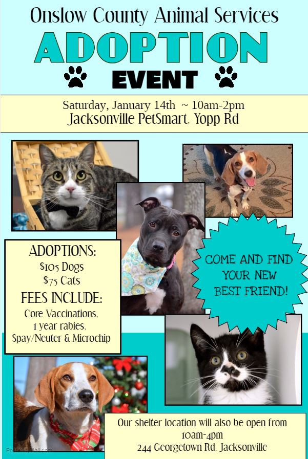 Petsmart Jacksonville Nc The W Guide