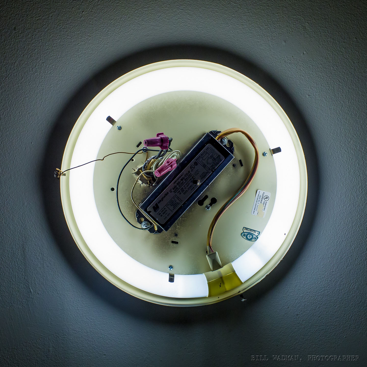 8/1 Ring Light On Taking Pictures