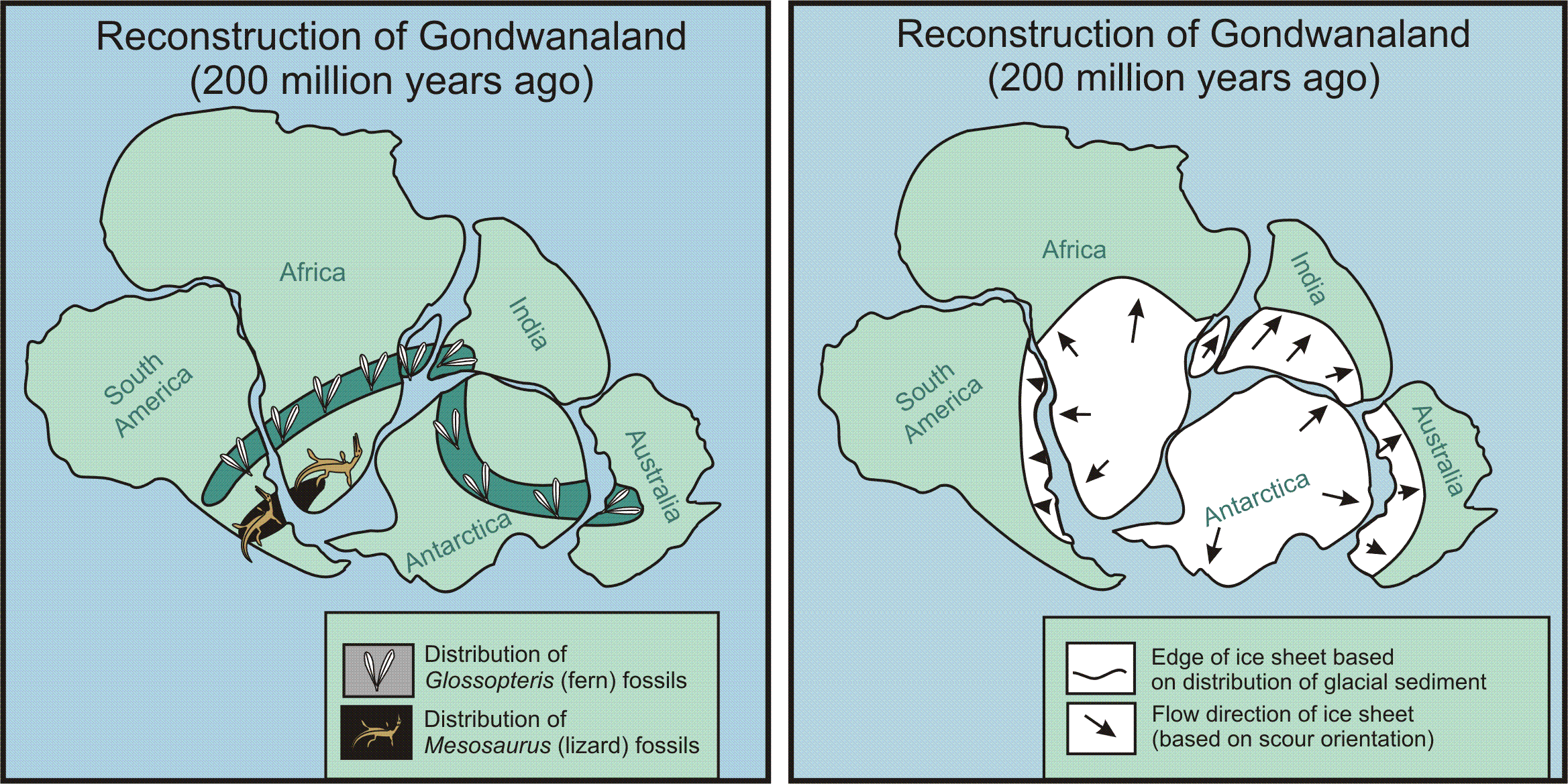 Continental Jigsaw Puzzle Solution