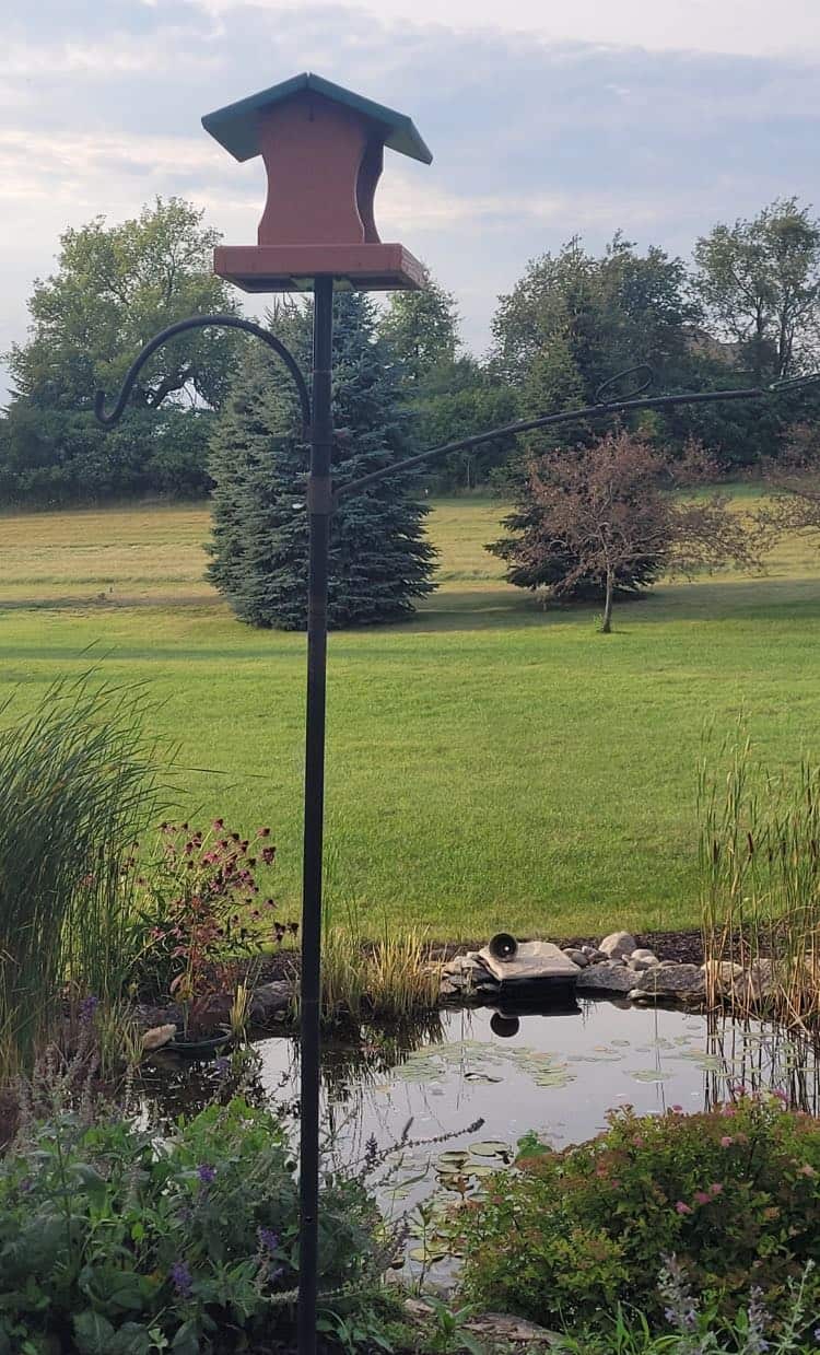 The 3 Best Bird Feeder Pole Systems (SquirrelProof, Strong & Stable