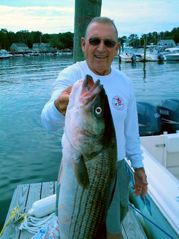 List Of Cape Cod Bay Fishing Report Ideas