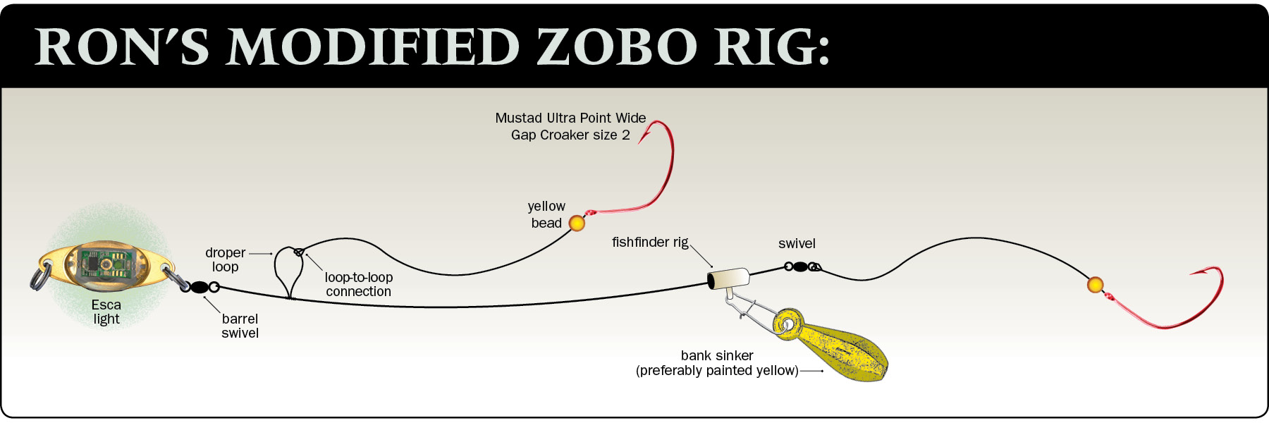 The Blackbacks are Back Flounder Fishing Boston Harbor