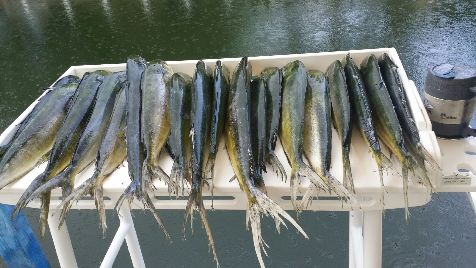 dock fillet table mahi On The Water