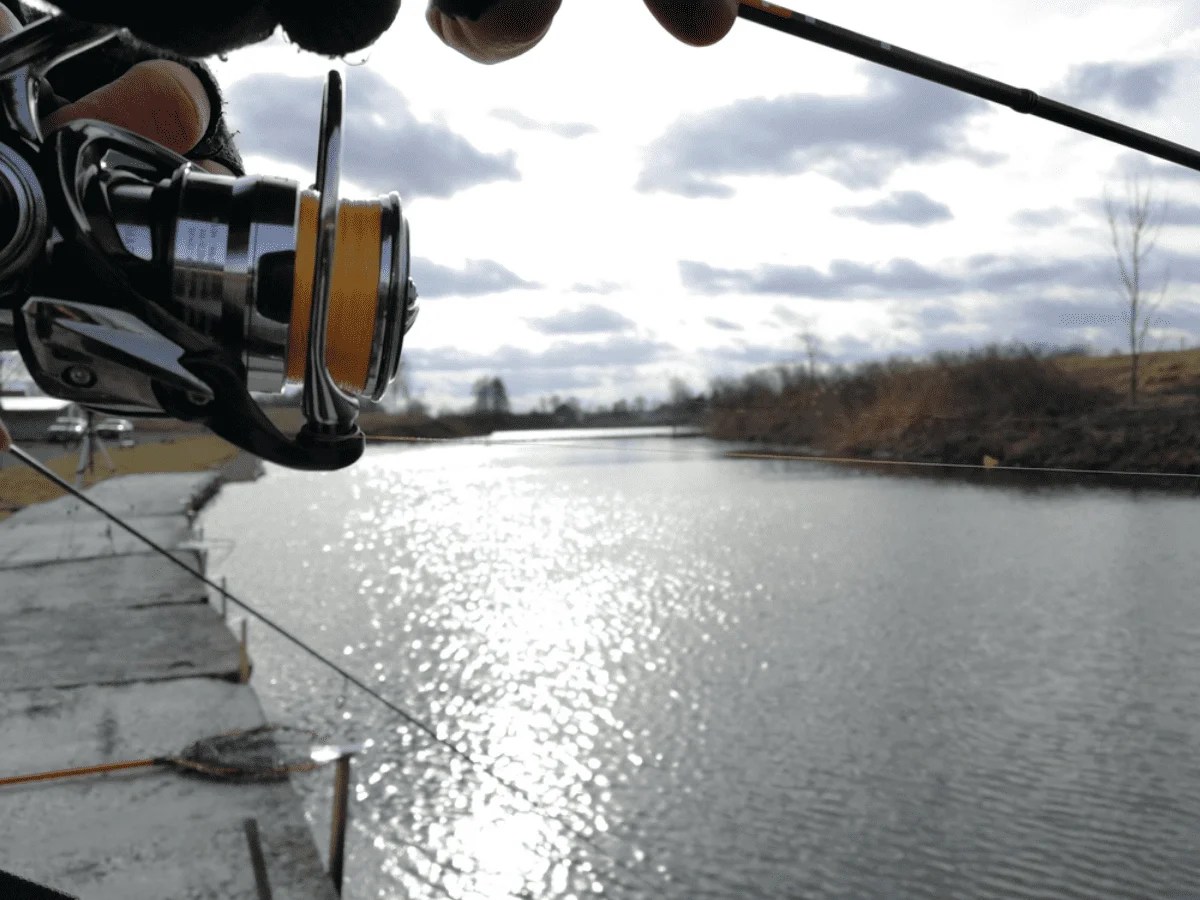 Top 5 Best Fluorocarbon Fishing Lines (Reviewed For 2023)