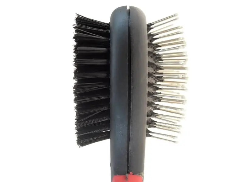 The 7 Best Slicker Brush For Dogs (2024) OodleLife®