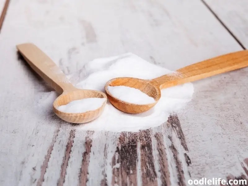 Does Baking Soda Help With Dog Smell