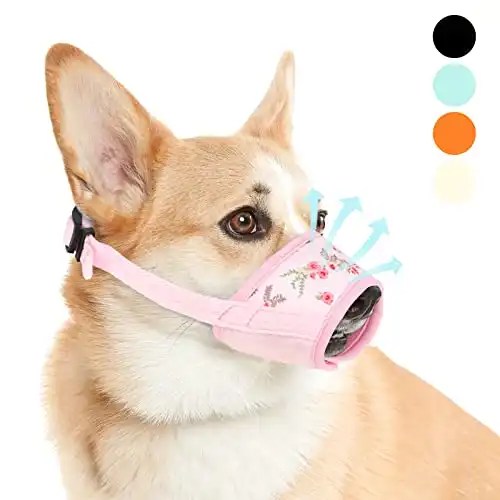 5 Best Muzzles For Yorkshire Terriers (Snout) OodleLife®