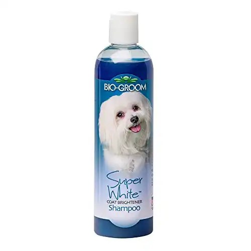 5 Best Dog Whitening Shampoos (2024) OodleLife®