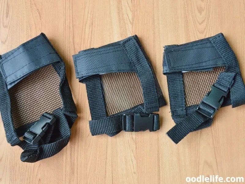 5 Best Muzzles For Yorkshire Terriers (Snout) OodleLife®