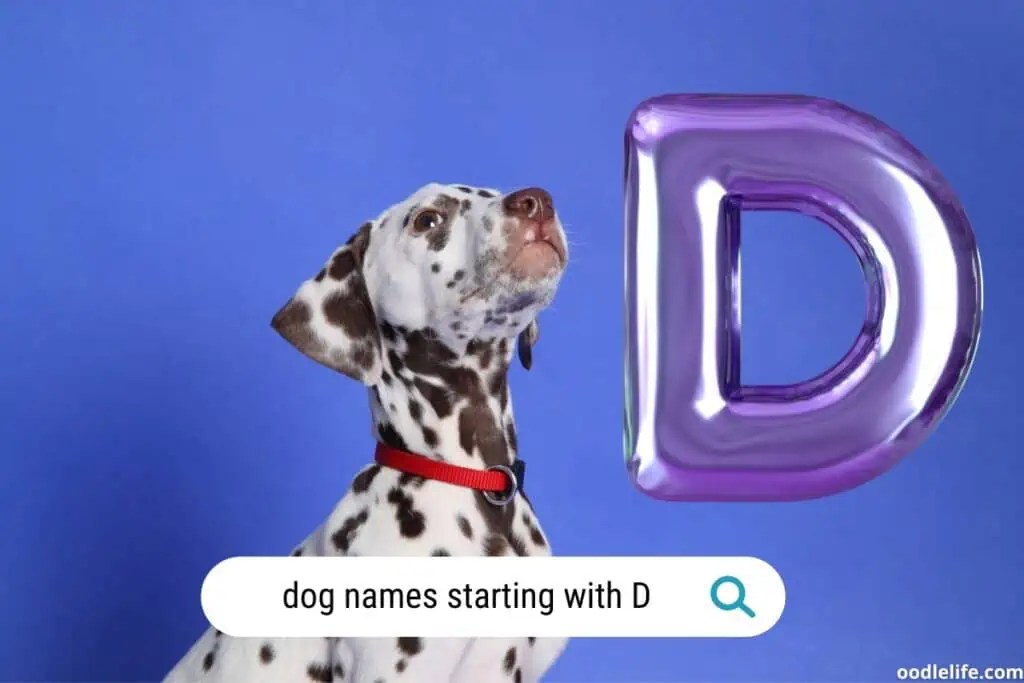 What Is A Good Name For A Dog