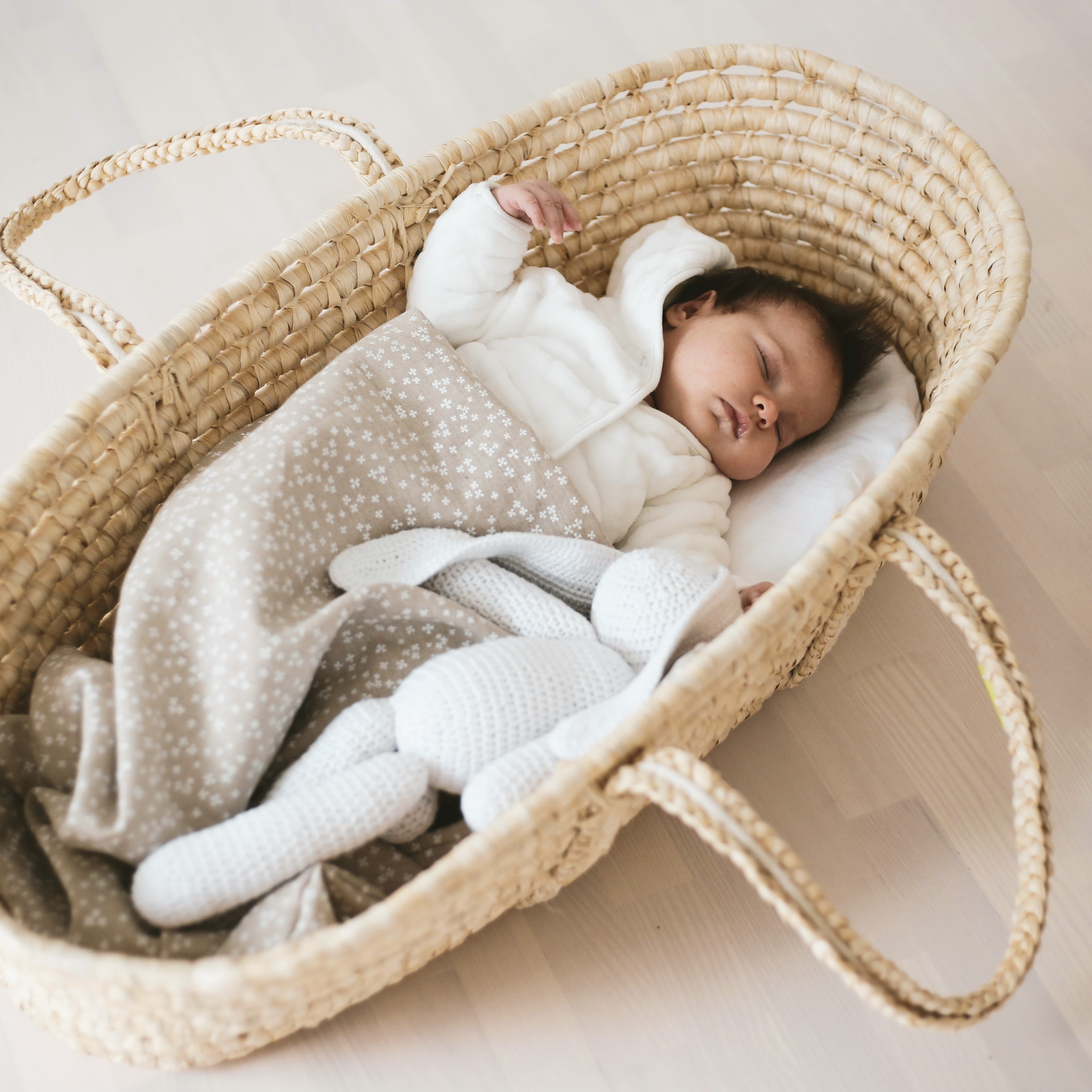 Baby Moses In Basket