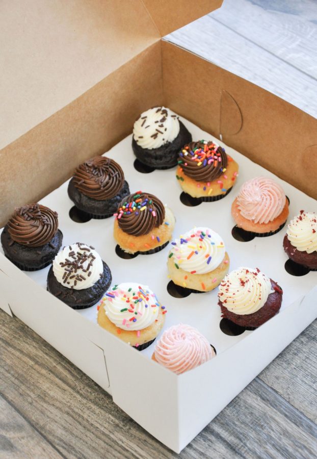 Dozen Mini Cupcakes Cinco Ranch Store