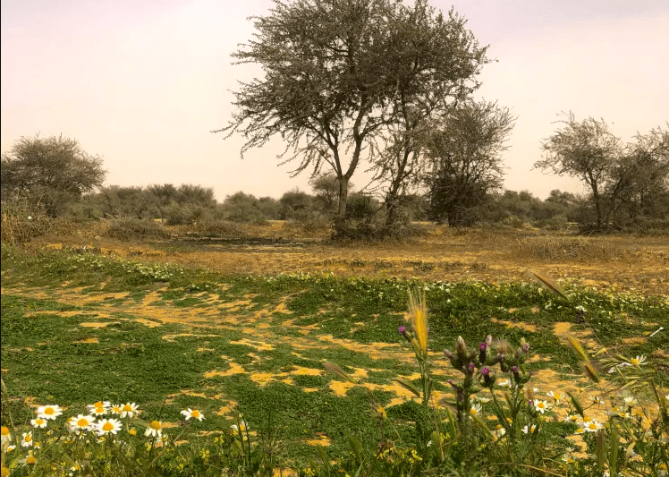 Visit Rawdat Khuraim Garden in Riyadh