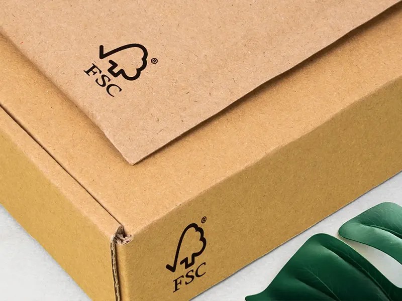 How Do Biodegradable Packaging Suppliers Manufacture Sustainable