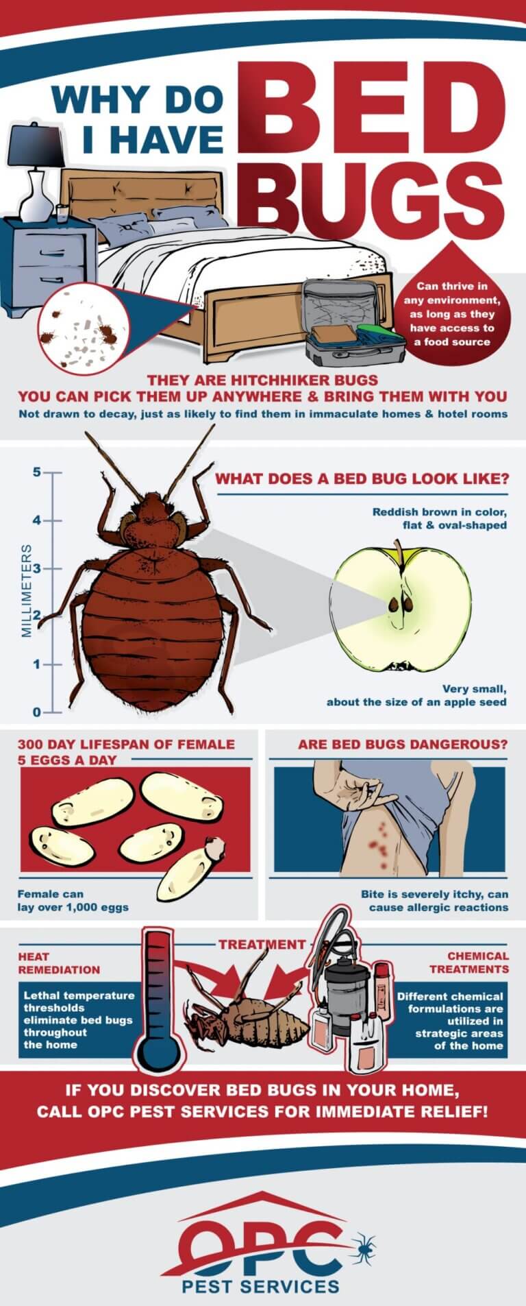 Why Do I Have Bed Bugs? OPC Pest Services