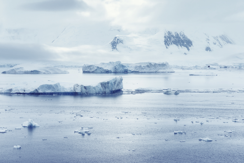 The Arctic A global climate “canary in a coal mine”