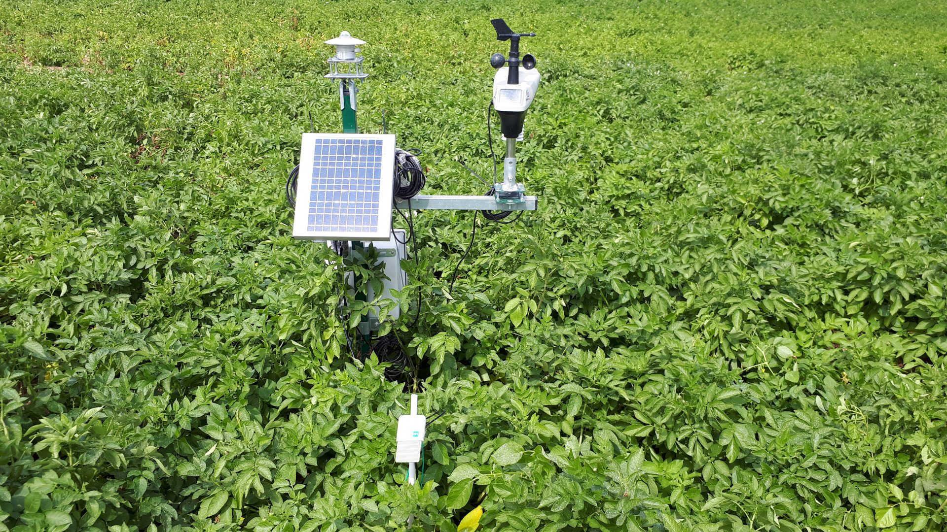 Integrated Pest Management Reducing pesticide use in European farms