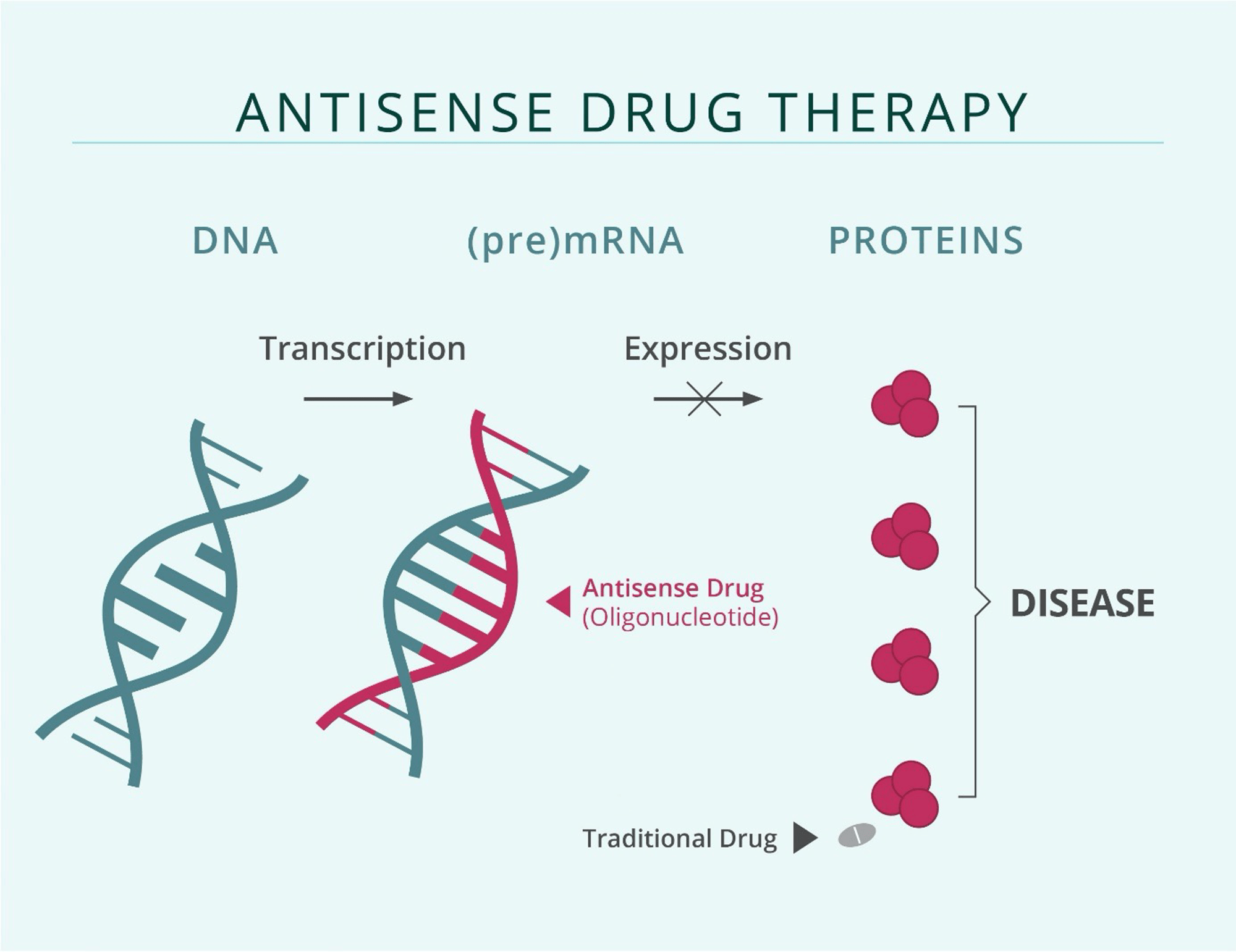Antisense therapies A new approach to tackling challenging targets in