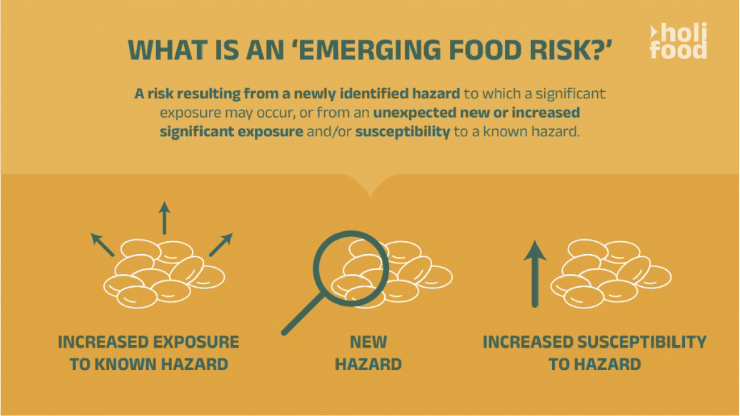 Enhancing Food Safety Risk Analysis: A Path to Safer Food Systems in Europe Enhancing Food Safety Risk Analysis: A Path to Safer Food Systems in Europe