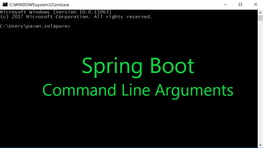 Spring Boot Command Line Runner Example at Milagros Reddish blog