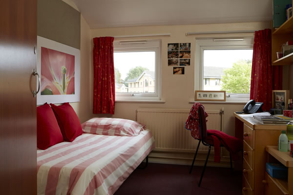 at Staffordshire University, contact