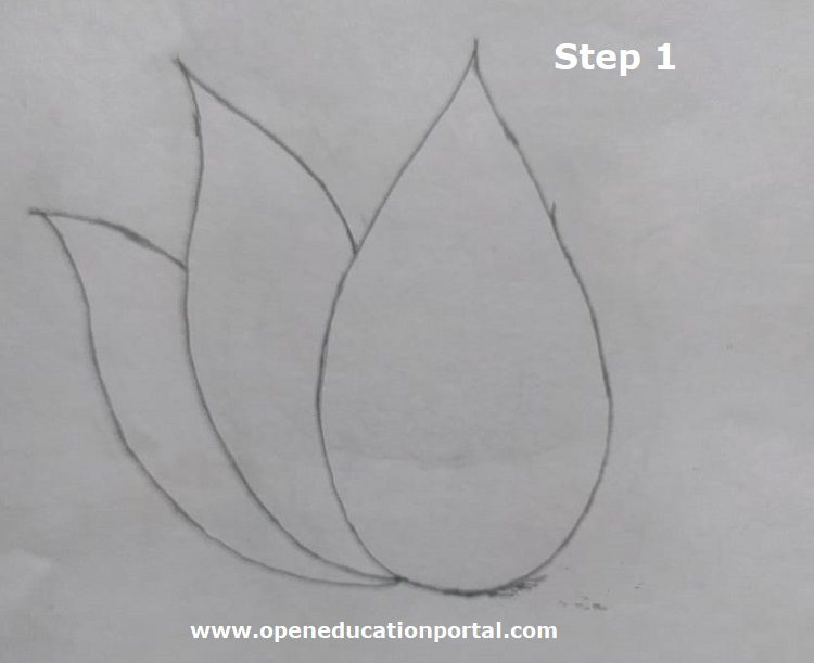 How To Draw Lotus Flower Simple StepByStep Guide With Images