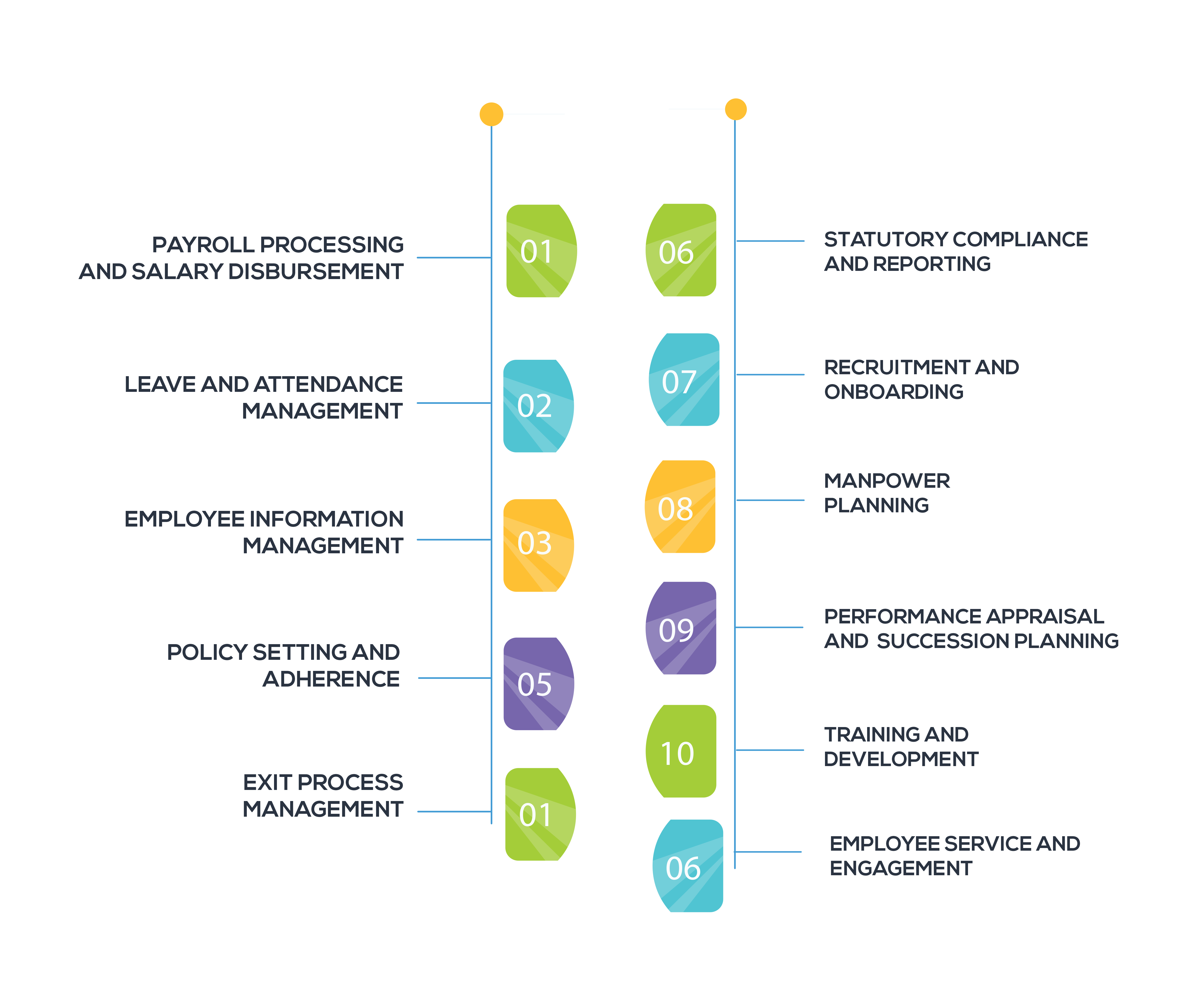 How a Human Resource Management System Can Transform Your Business