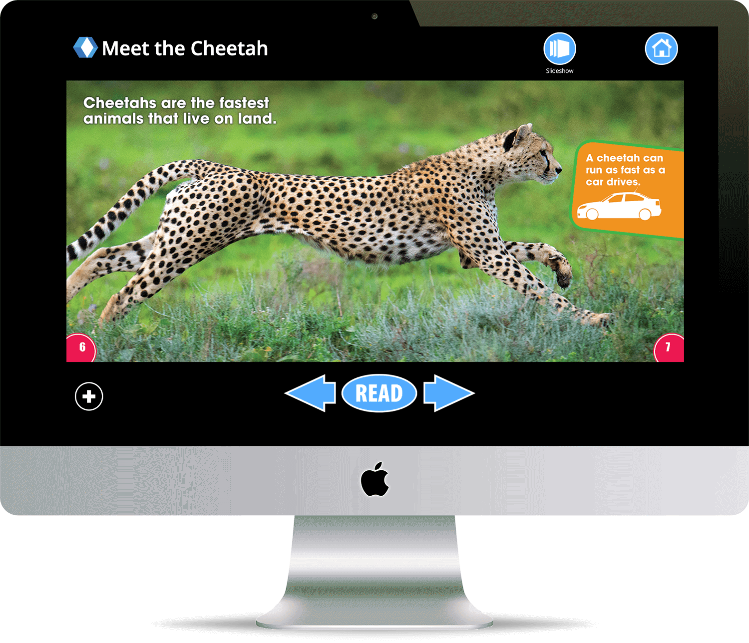 About Lightbox Learning