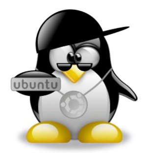 Customise Ubuntu