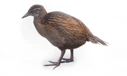 weka learning