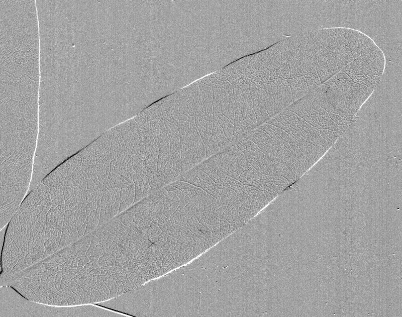 Creating animated GIFs using ImageJ OpenSourceOV