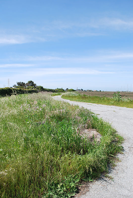 Ravenswood Open Space Preserve Preserves