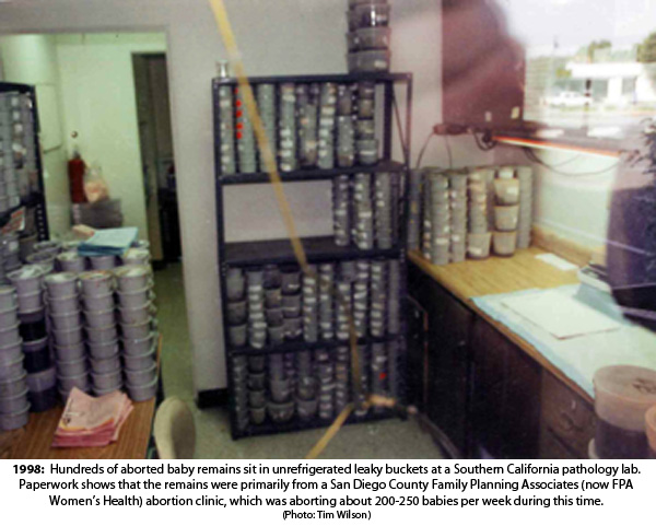 Where Do Aborted Baby Remains Go? Some Went Here.